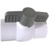 CMP PVC Ball Valve 2" Slip X Slip -Pool Supplies Store 25800 210 000